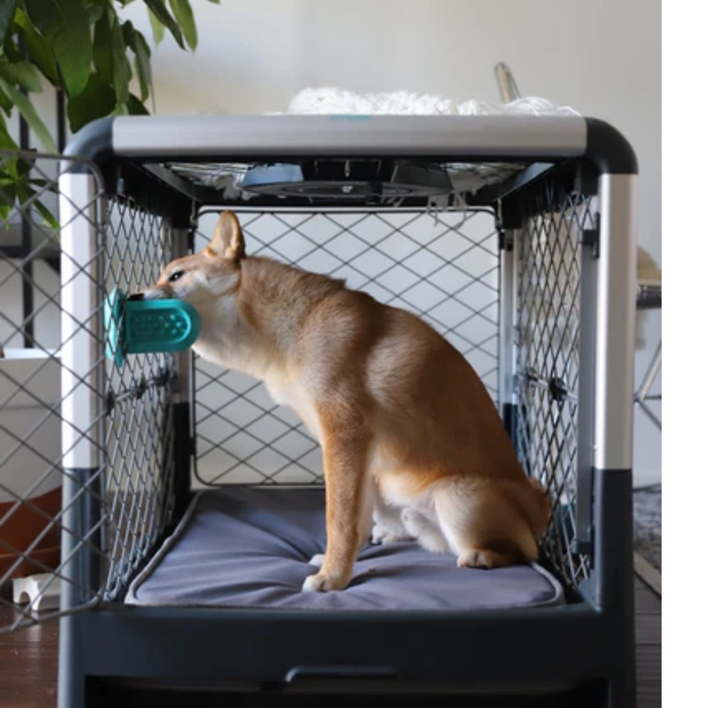 Dogs groove training aid